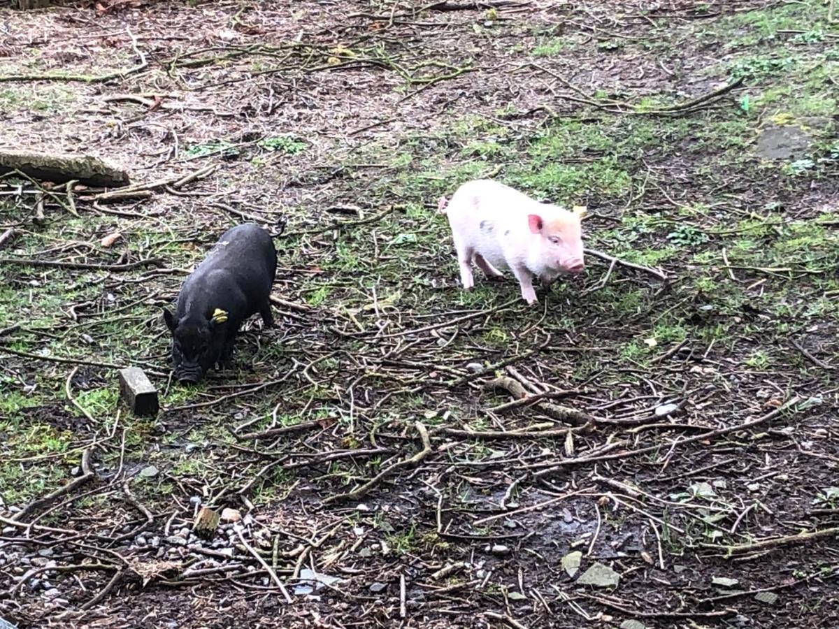 グランストゥ ヘースケア ファミリー ルームズヴィラ エクステリア 写真